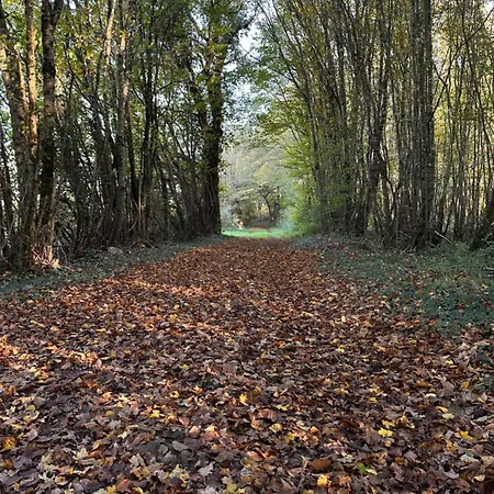 The Charming Private At La Grenouillere 펜션 *