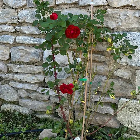 펜션 The Charming Private At La Grenouillere Puyreaux