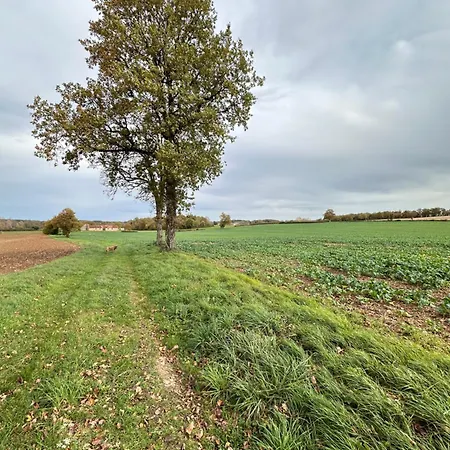 펜션 The Charming Private At La Grenouillere *