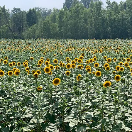 The Charming Private At La Grenouillere 펜션 *